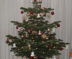 Christbaum